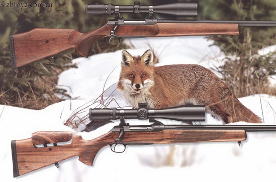 > <p>Основой карабина является ствольная коробка, выполненная из цельного блока.</p><p> Благодаря высокой точности изготовления всех частей карабина обеспечивается правильная и точная укладка ствольной коробки в ложе, что исключает влияние несимметричных колебаний, возникающих при выстреле.</p>