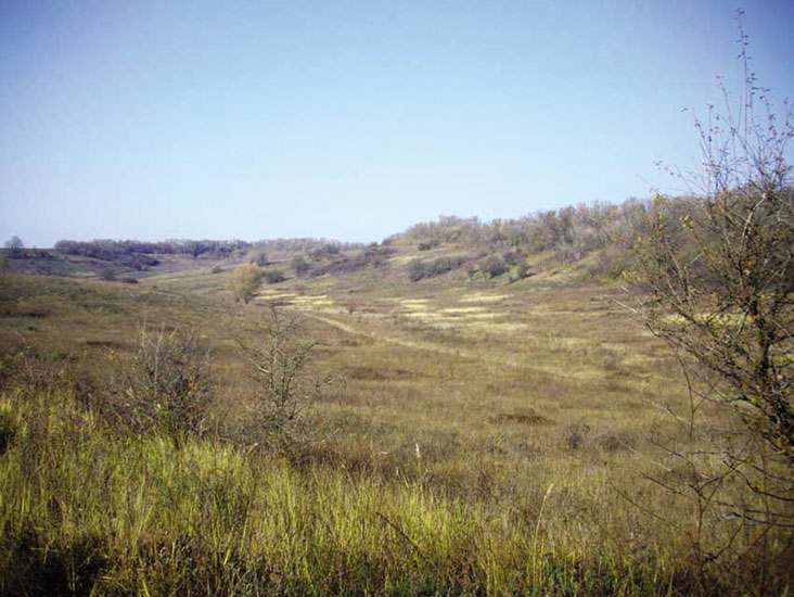 > <p>На мойку мы приехали раньше всех. Чуть погодя, к условленному времени стали подъезжать другие охотники. Они привезли неожиданную для нас весть: есть лицензия на козу. Для меня это было настоящим сюрпризом. Я ожидал охоты на лису, а тут, вы только представьте себе, КОЗА! После встречи и приветствий нужно было ехать за егерями. Я и Олег перегрузились в белую Сашкину