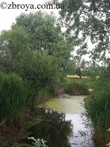 > <p>Аким Петрович Отлетаев, мировой судья, земский врач, я, зять Отлетаева Предположенский и волостной старшина Козоедов ехали все шестеро на отлетаевской коляске-розвальне на охоту. За коляской, вывалив языки, бежали четыре пса. Я и земский врач народ худенький, остальные же толсты, как стоведерные бочки, а потому, несмотря на то что дедовская коляска была и широка и глубока, нам было до чертиков тесно. Я то и дело толкал локтем и ружейным прикладом в живот Козоедова. Все мы толкались, пыхтели, морщились, всей душой ненавидели друг друга и с нетерпением ждали того k