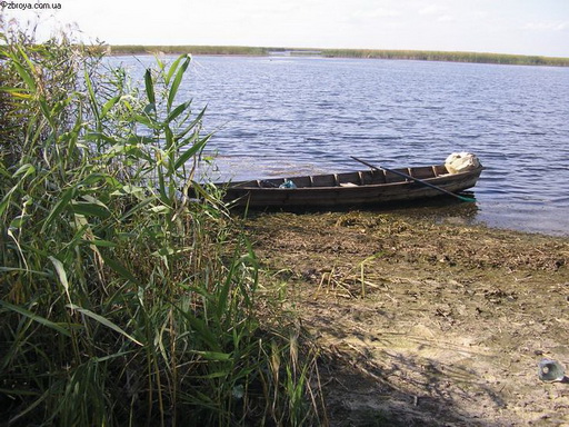 > <p>Протока выходит на плес, расширяется, и тянется дальше. Потом снова большой плес с островками и отходящими от него узкими протоками. Хорошая погода и тихая вода манят все дальше и дальше под голубое небо.</p><p> Полуденное солнце греет так, что заставляет снять рубашку, но ненадолго.</p><p> Пышные кучевые облака незаметно сомкнулись и широким языком потянулись с юго-запада.</p><p> Там, далеко над горами днепровского правобережья, облака уже сплотились, темнея основаниями. Косые синие полосы, падающие от них, показывают, что там уже идет дождь. Очевидно, скоро он будет здесь.</p><p> Пока я съел яблоко, сверху стало накрапывать. Вода покрылась сетью мелких морщин. Достаю плащ, а капать перестало, но через четверть часа начинает лить сильнее. Пока идет дождик, уходит время и нужно уже позаботиться о ночлеге. В небольшом заливе, у края плеса виднеется островок с высоким рогозом. Шесть лысушек показываются из-за островка и спешат укрыться в зарослях, окаймляющих залив, где тревожно 