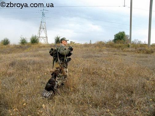 Когда дома не сидится