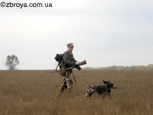 Когда дома не сидится