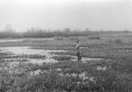 Первый крыжень