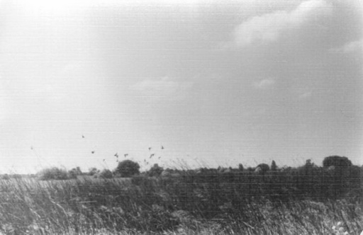 Первый крыжень