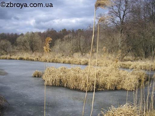 Осенние выезды