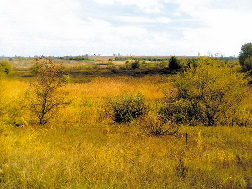 Удачный день