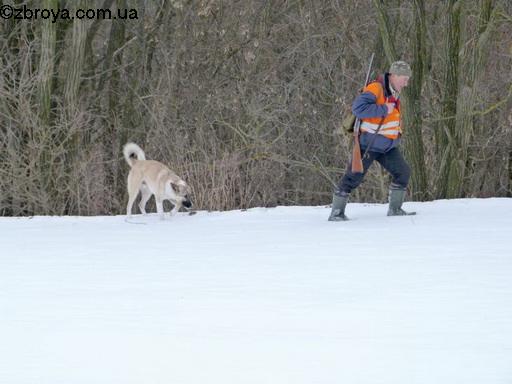 В канун Нового года. Каневские зарисовки