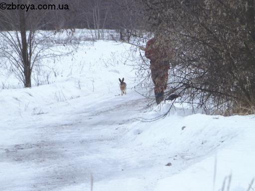 В канун Нового года. Каневские зарисовки