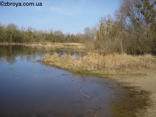 Весенняя пора