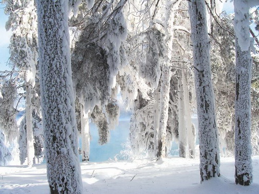 Охота пуще неволи
