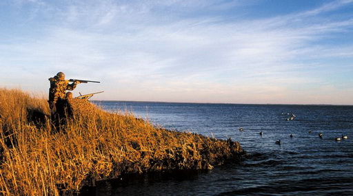 Дробовой выстрел